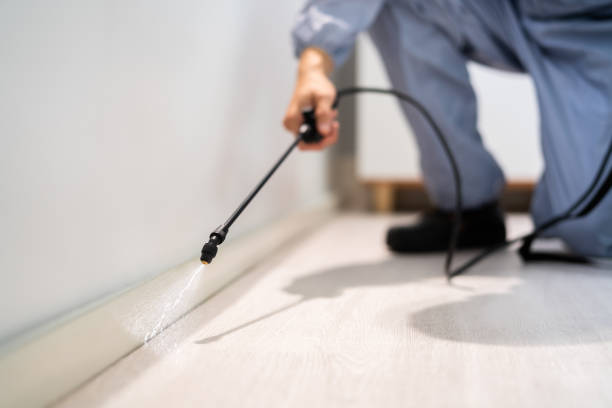 Bed Bug Pre-Treatment Preparation Assessment in Pine Ridge