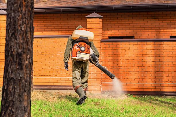 Bed Bug Clearance Verification and Documentation in Pine Ridge